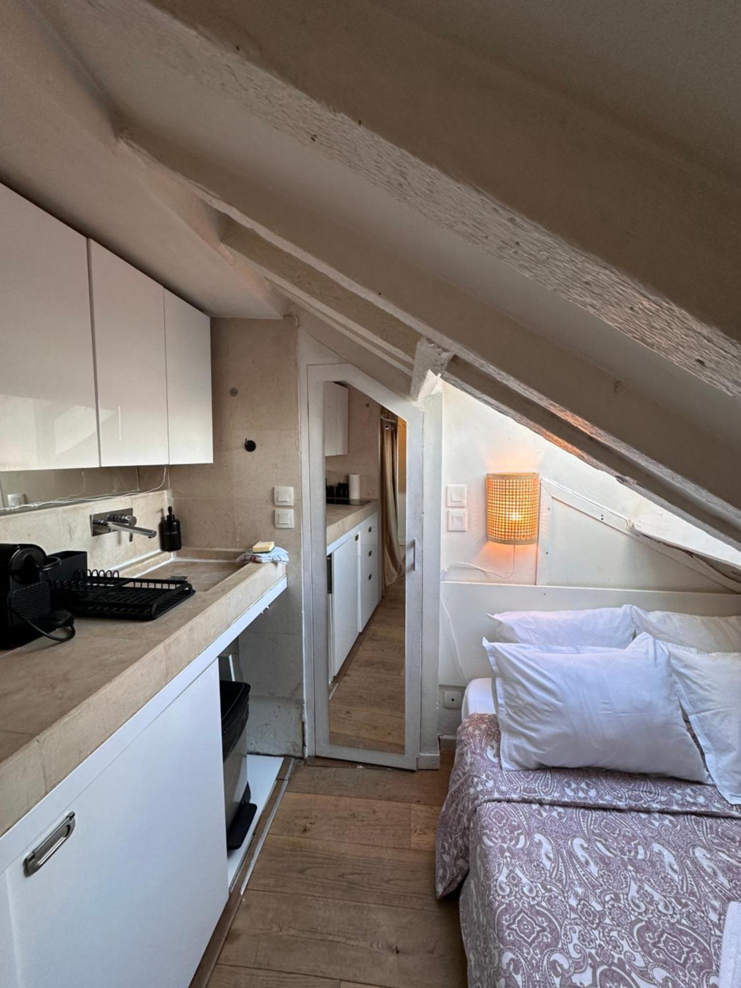 Appartement Marais Rooftop Studio - Metro Filles Du Calvaire à Paris Extérieur photo
